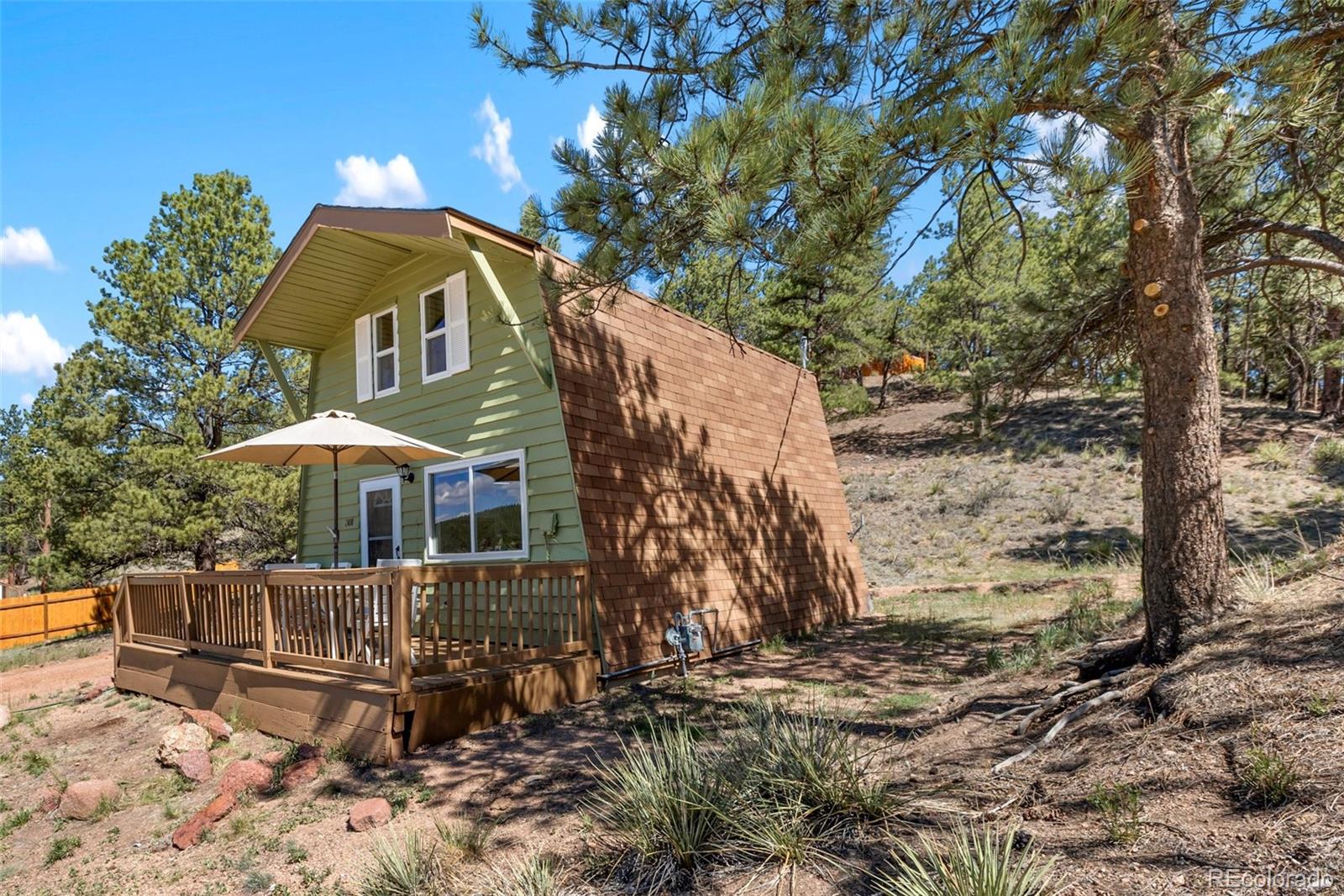 301 Circle Dr, Florissant, CO 80816