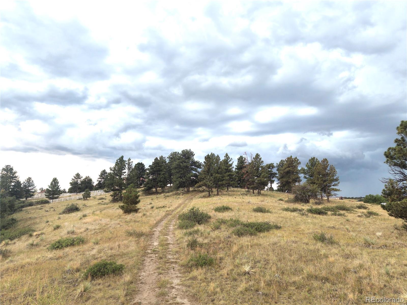 46341 Needleleaf Ln, Parker, CO 80138