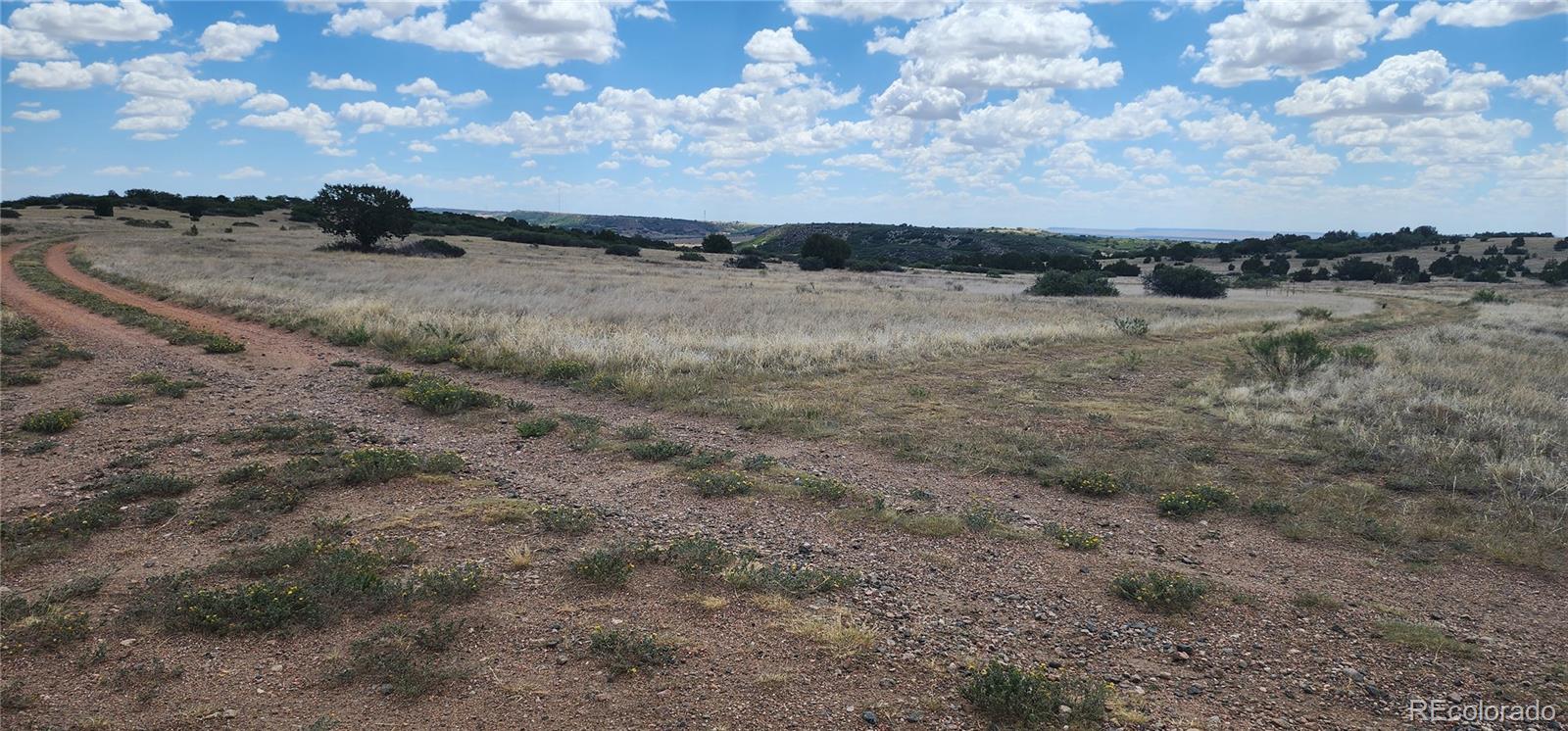 Lot 333 Patsy Cir Lot 333, Colorado City, CO 81019