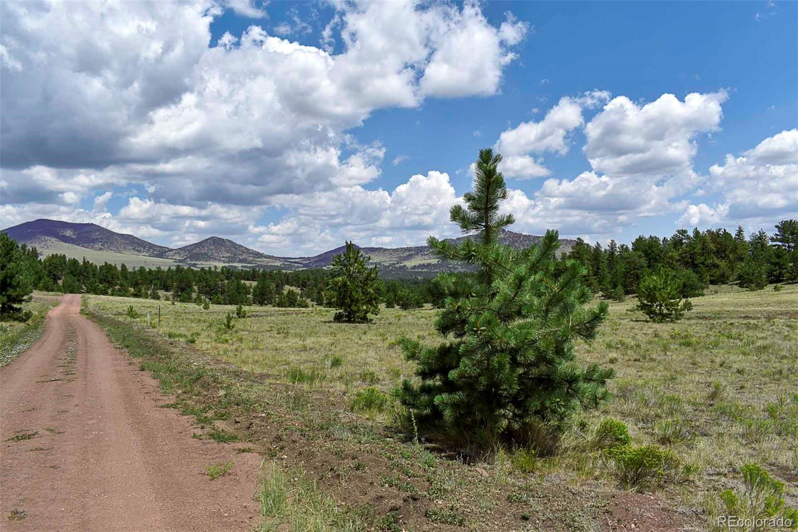 376 Copeland Rd, Guffey, CO 80820