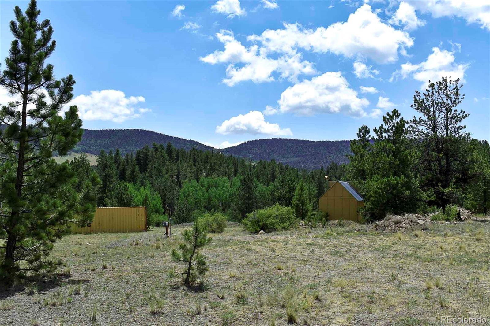 376 Copeland Rd, Guffey, CO 80820
