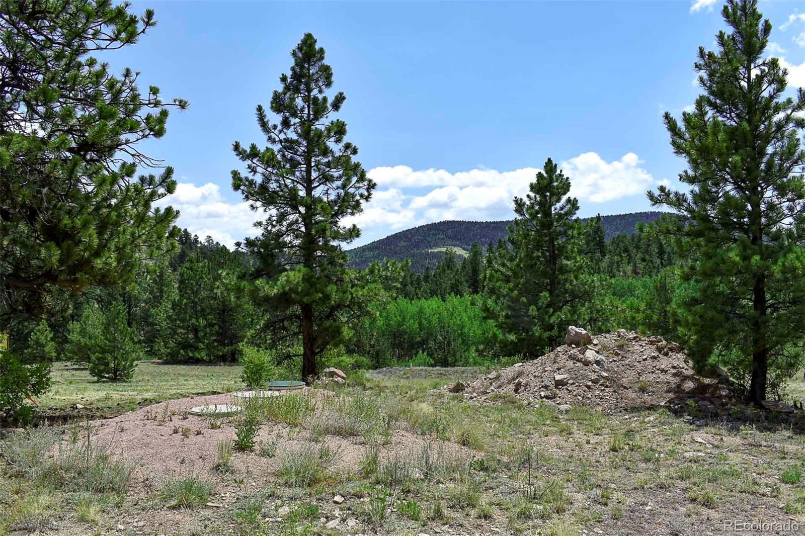 376 Copeland Rd, Guffey, CO 80820