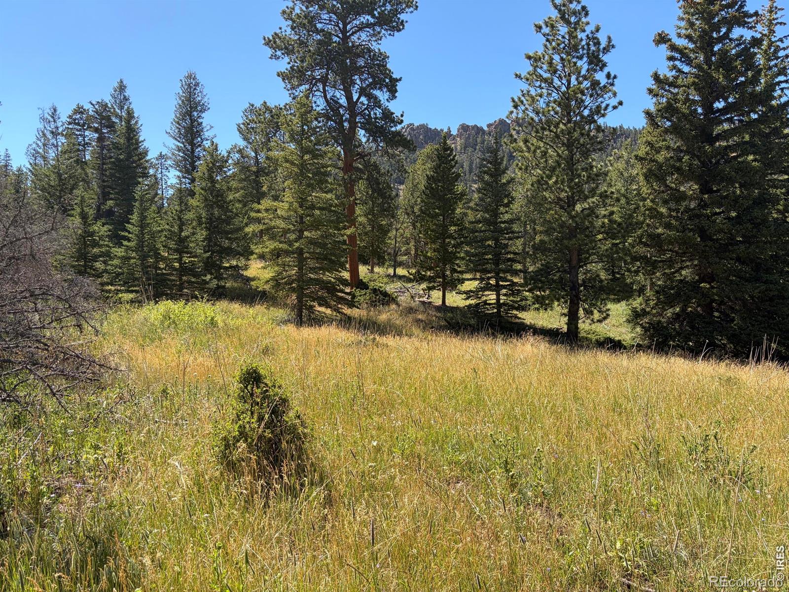 Pratt Creek Rd, Livermore, CO 80536