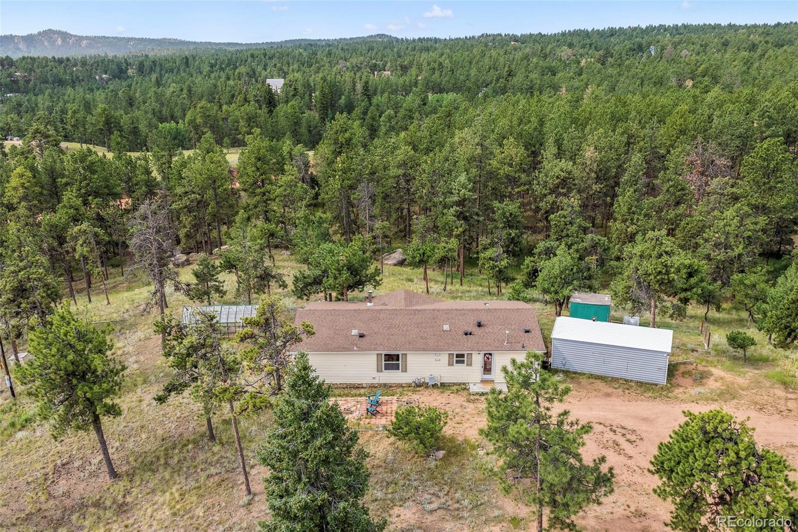 696 Calle De La Nieva, Florissant, CO 80816