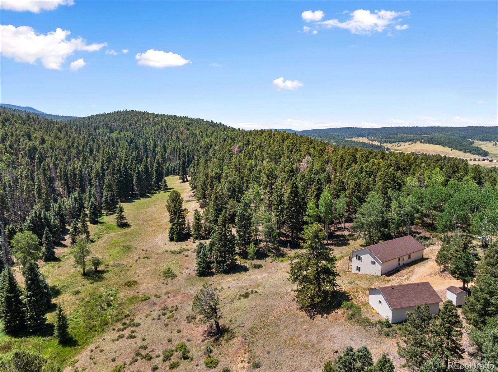 1054 Cantiberry Rd, Divide, CO 80814