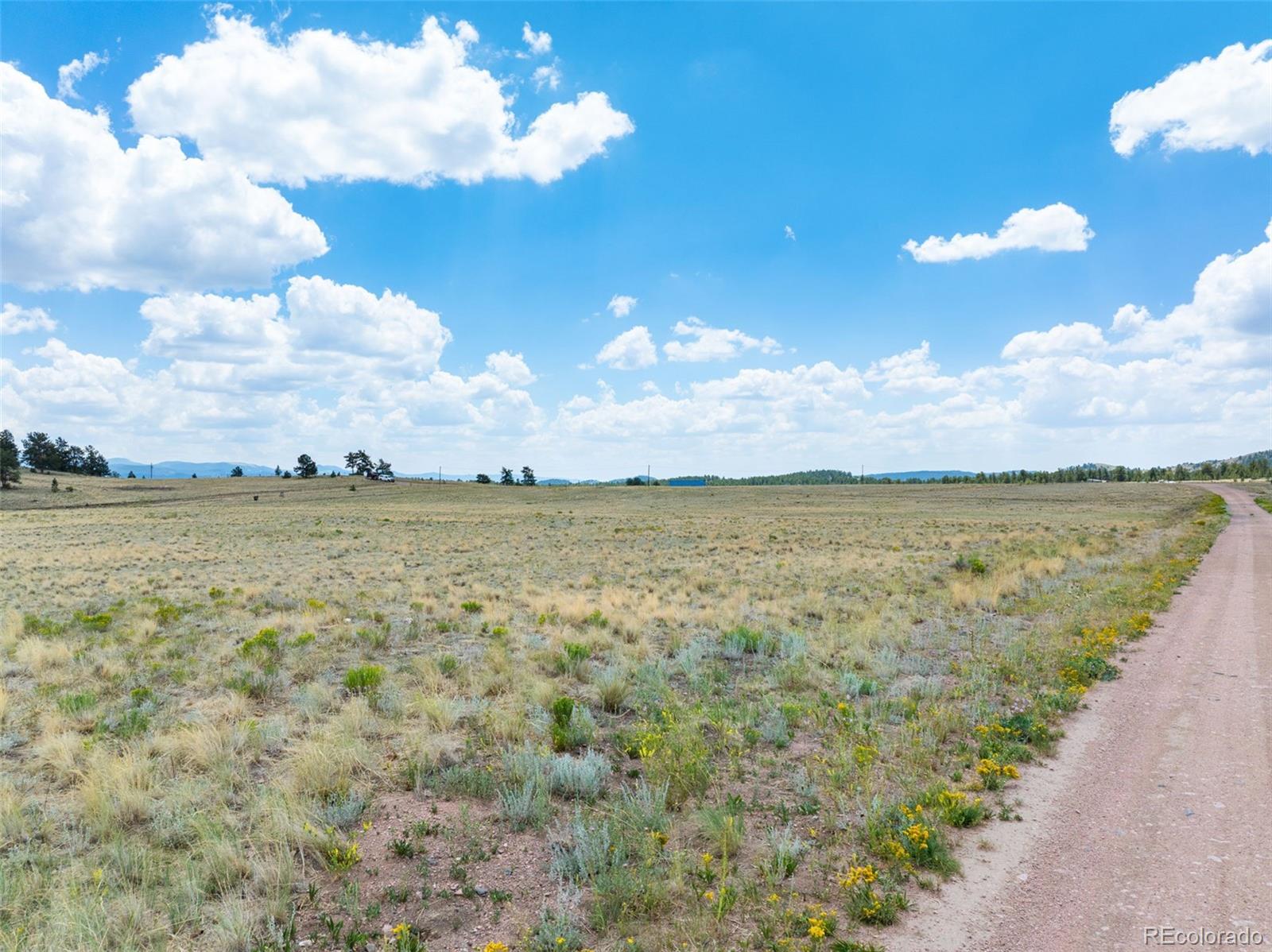 74 Wrights Ln, Guffey, CO 80820
