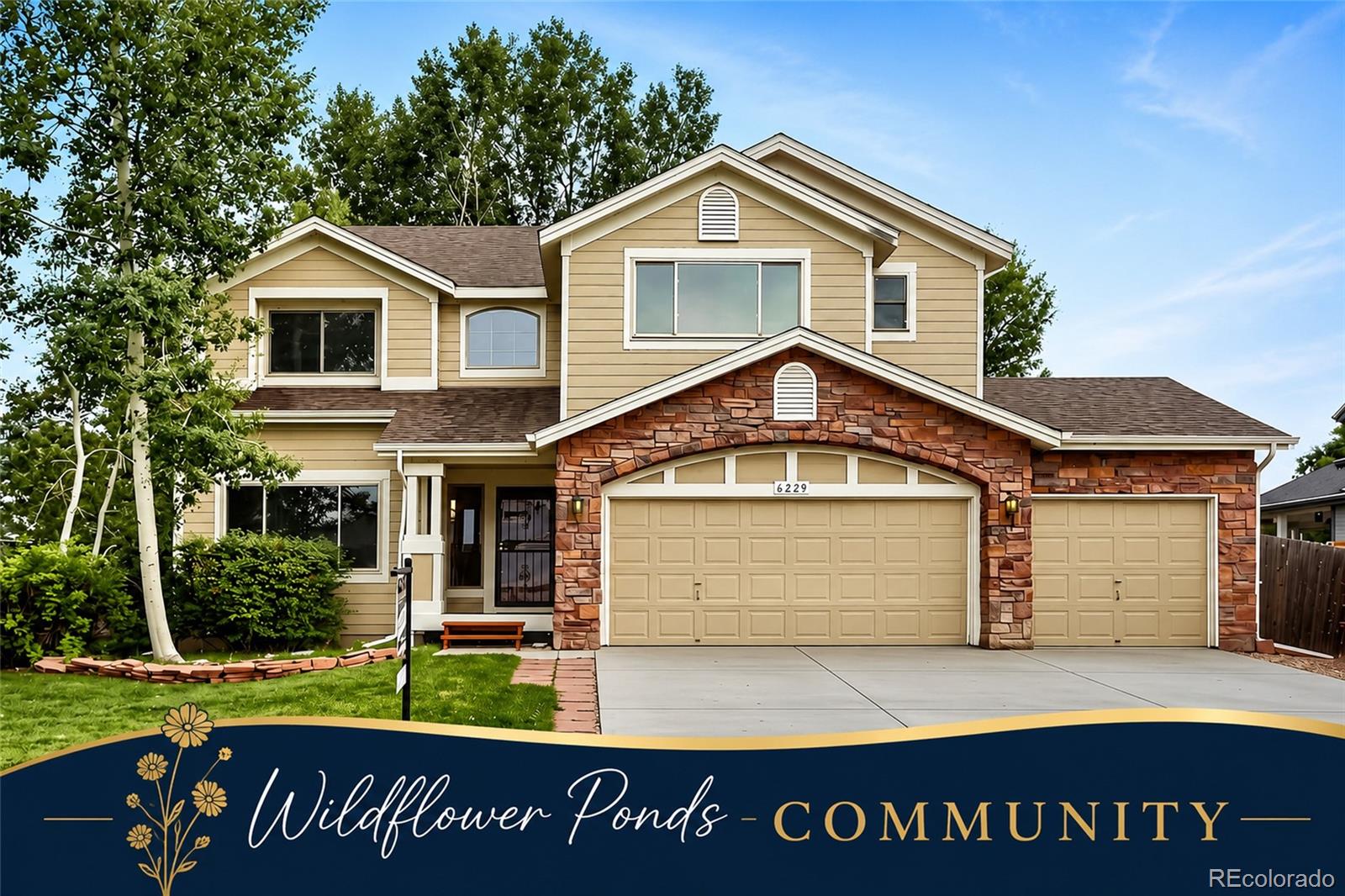 6229 Holman Ct, Arvada, CO 80004