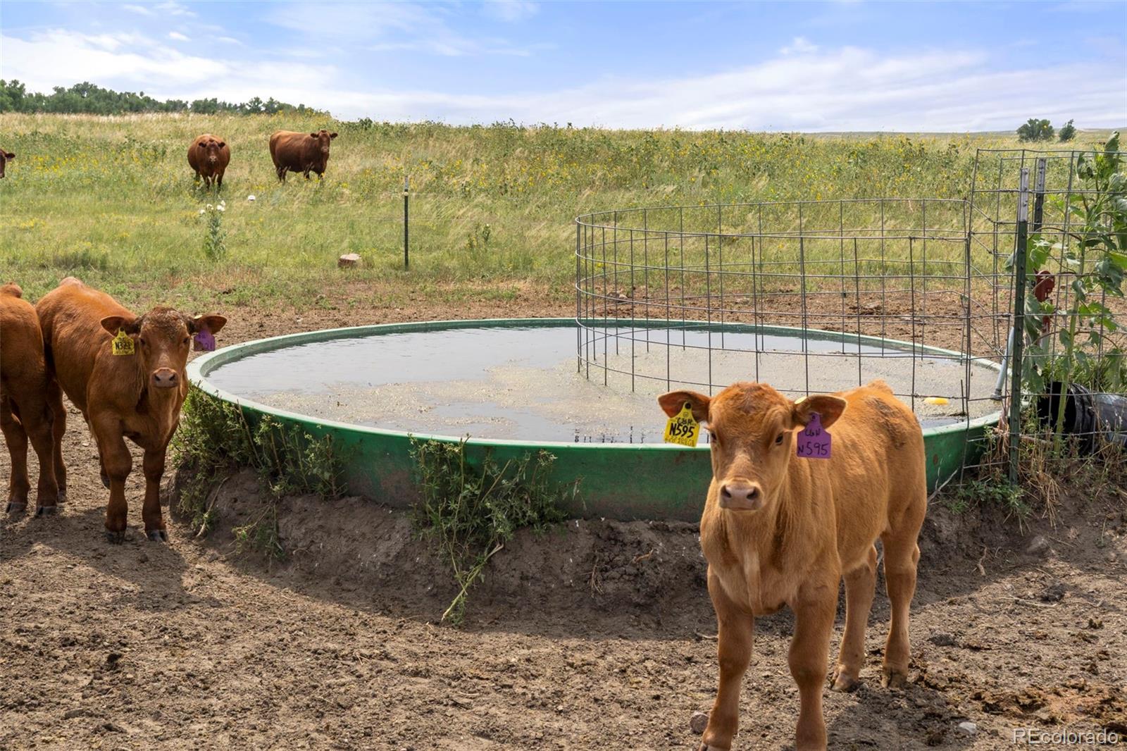 0 Resolis Rd, Matheson, CO 80830