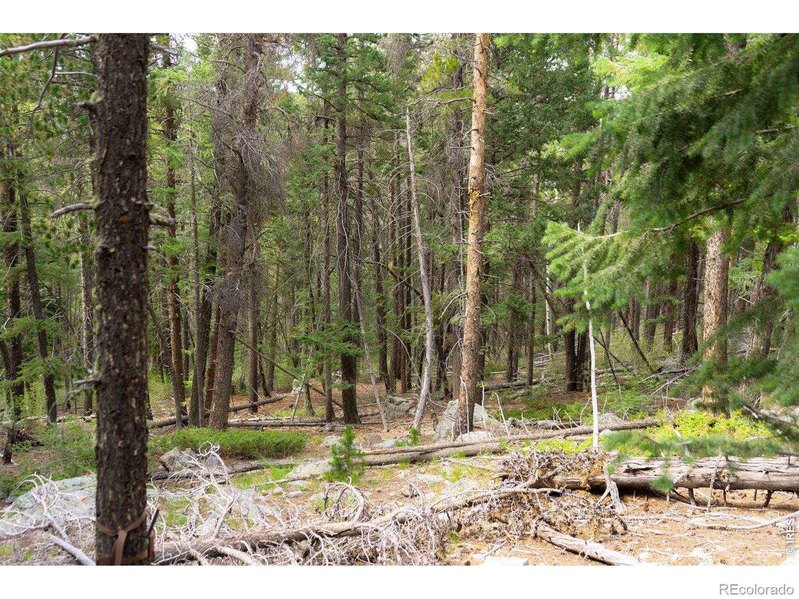 0 Twin Spruce Rd, Golden, CO 80403