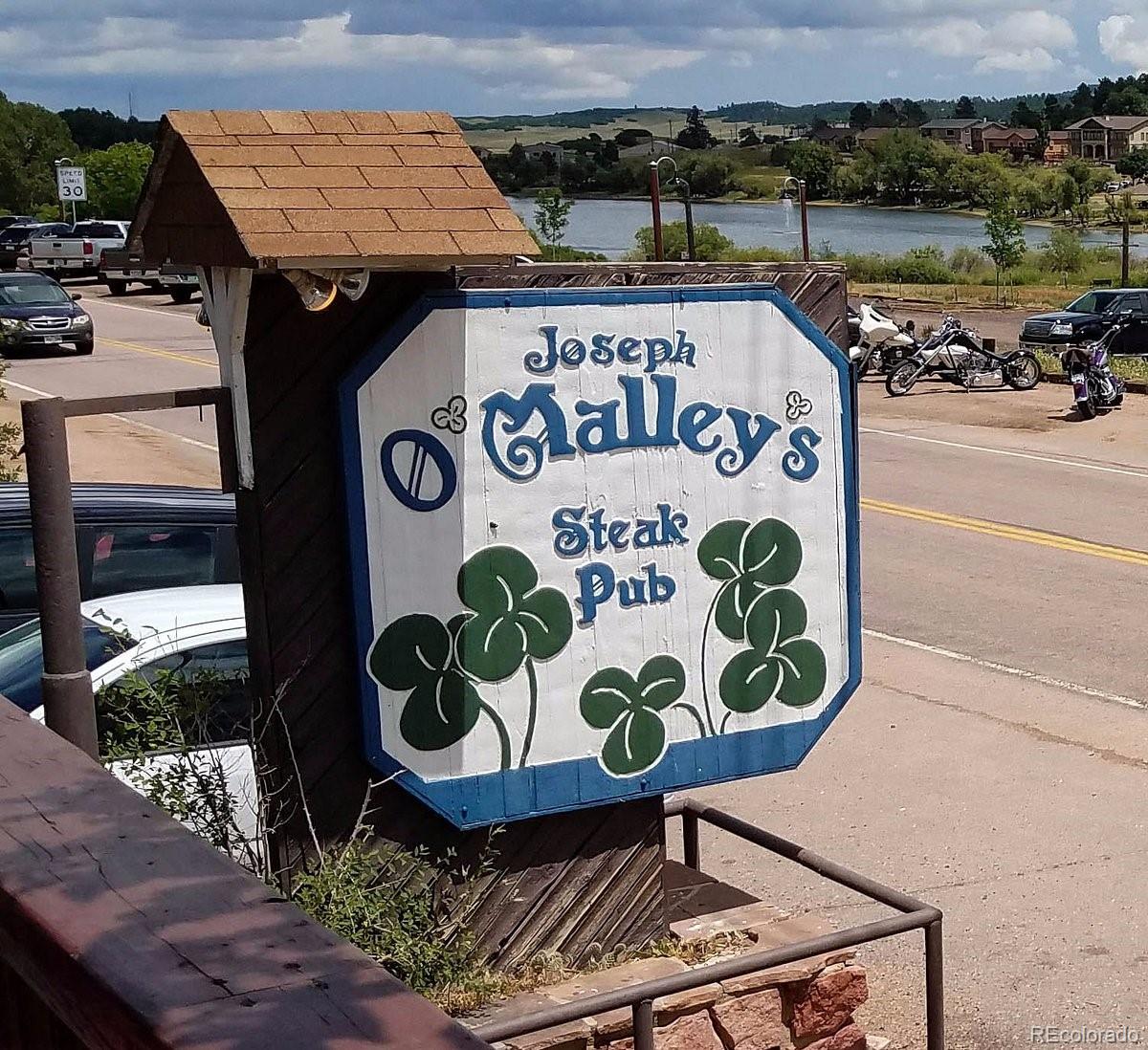 16335 Rustlers Range Point, Monument, CO 80132