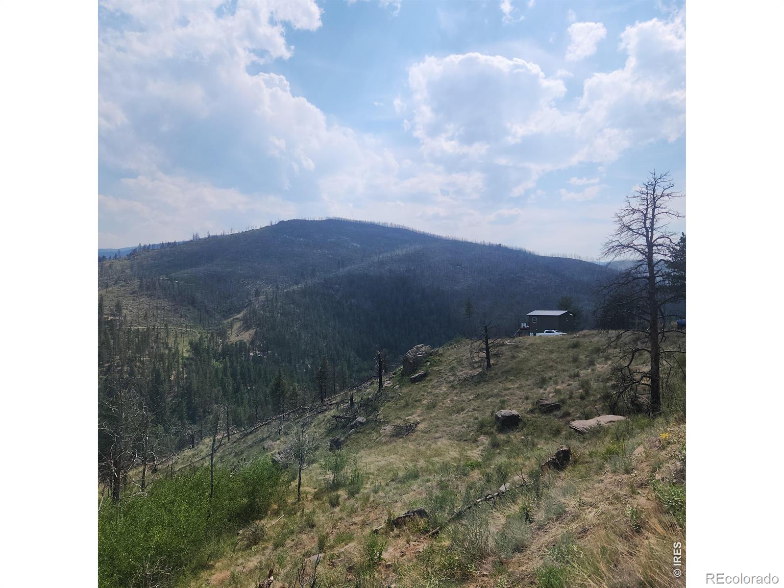693 Cougar Dr, Bellvue, CO 80512