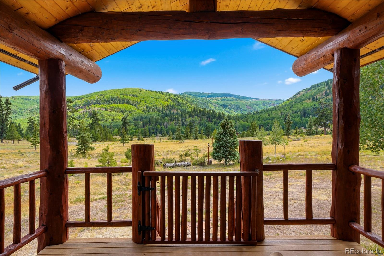 637 River Run Dr, Antonito, CO 81120