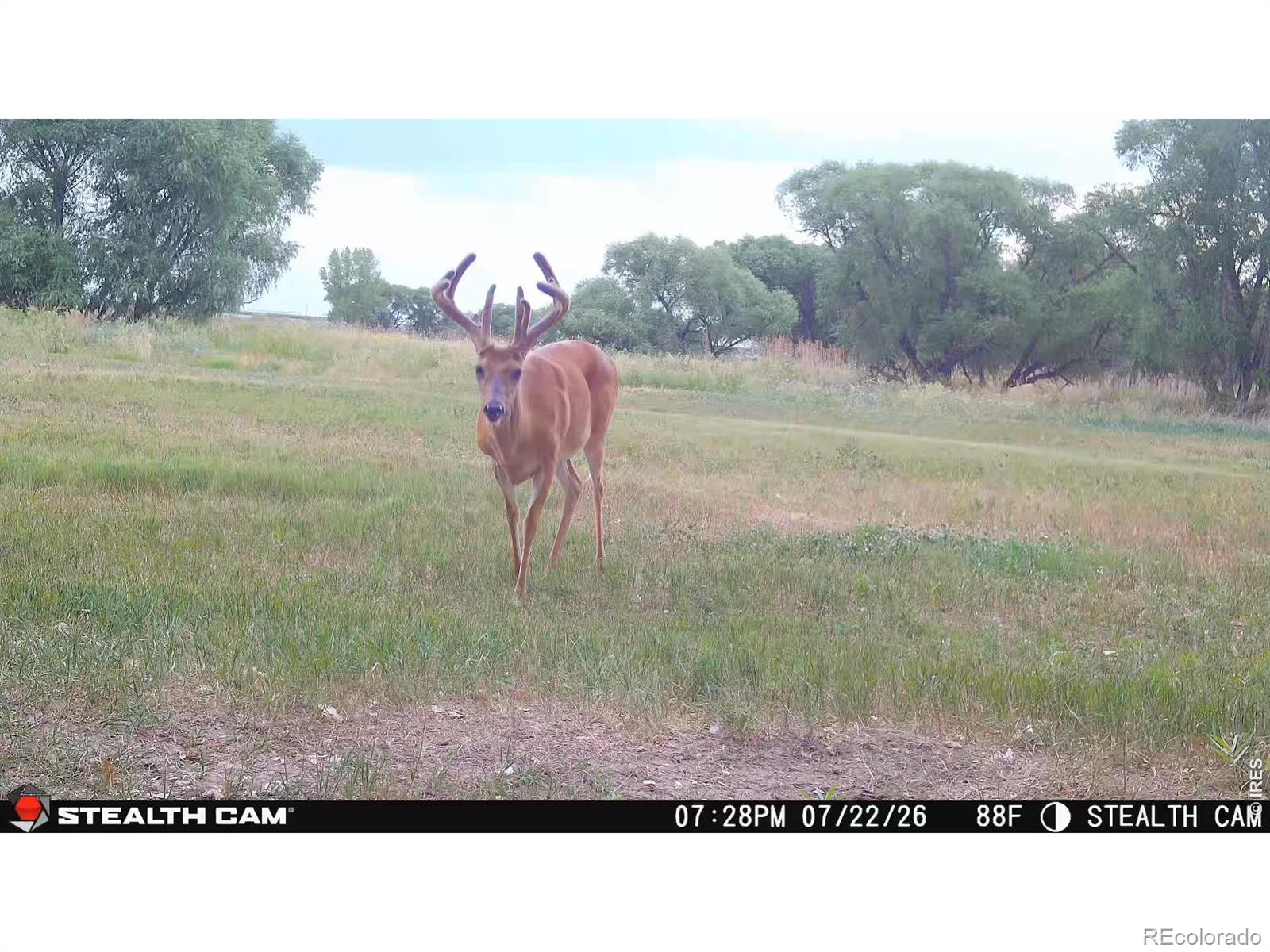 0 County Road 388, Kersey, CO 80644