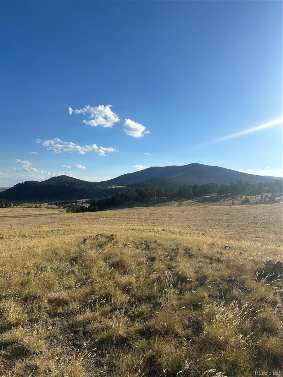 290 Castle Mountain Dr, Florissant, CO 80816