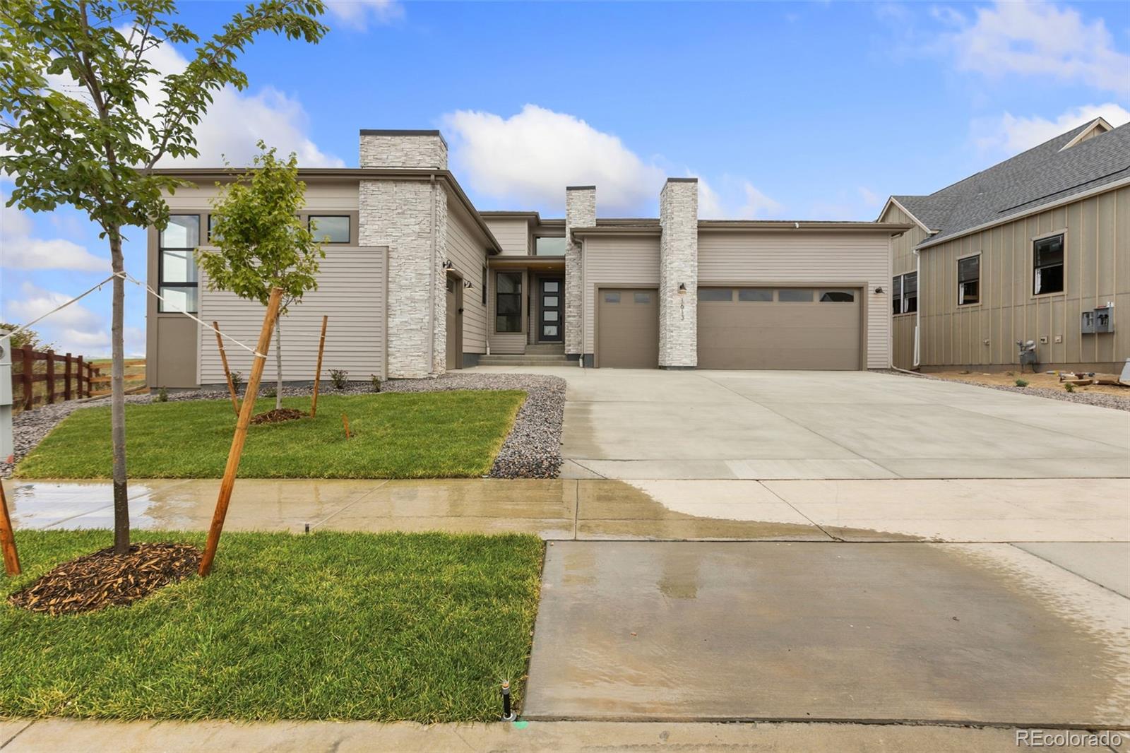 1613 Flourish Ct, Windsor, CO 80550