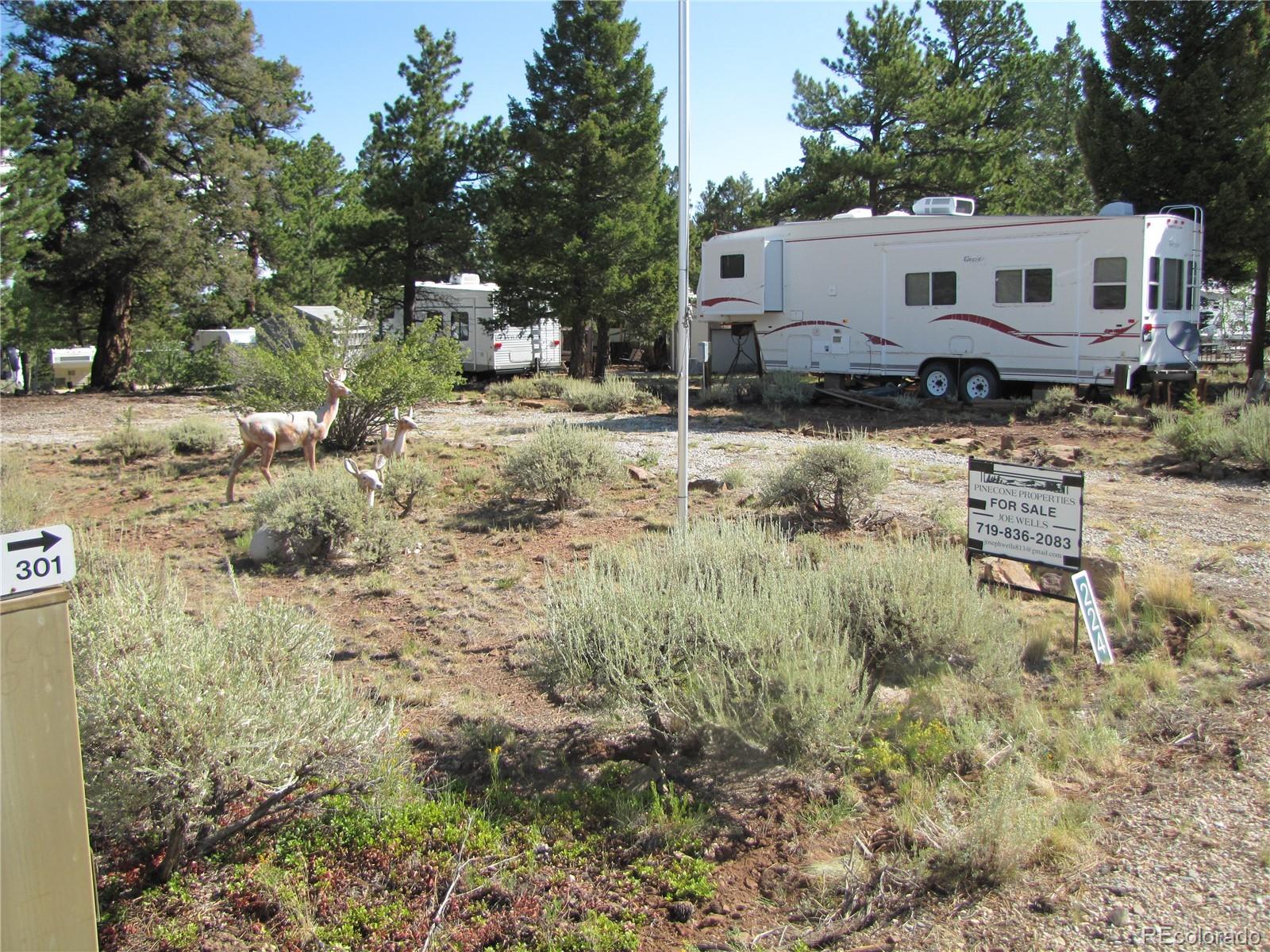 224 Lantern Loop, Hartsel, CO 80449