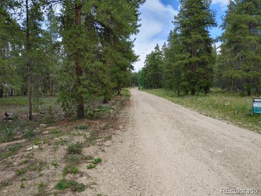 813 Topaz St Lot 9, Leadville, CO 80461