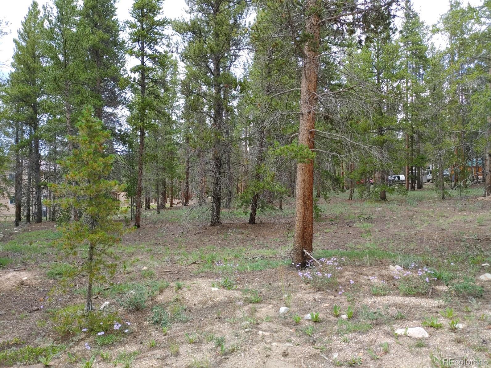 849 Topaz St Lot 10, Leadville, CO 80461