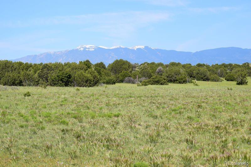 000 Claymine Rd, Rye, CO 81069