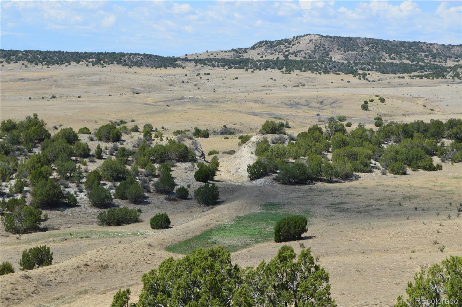 000 Claymine Rd, Rye, CO 81069