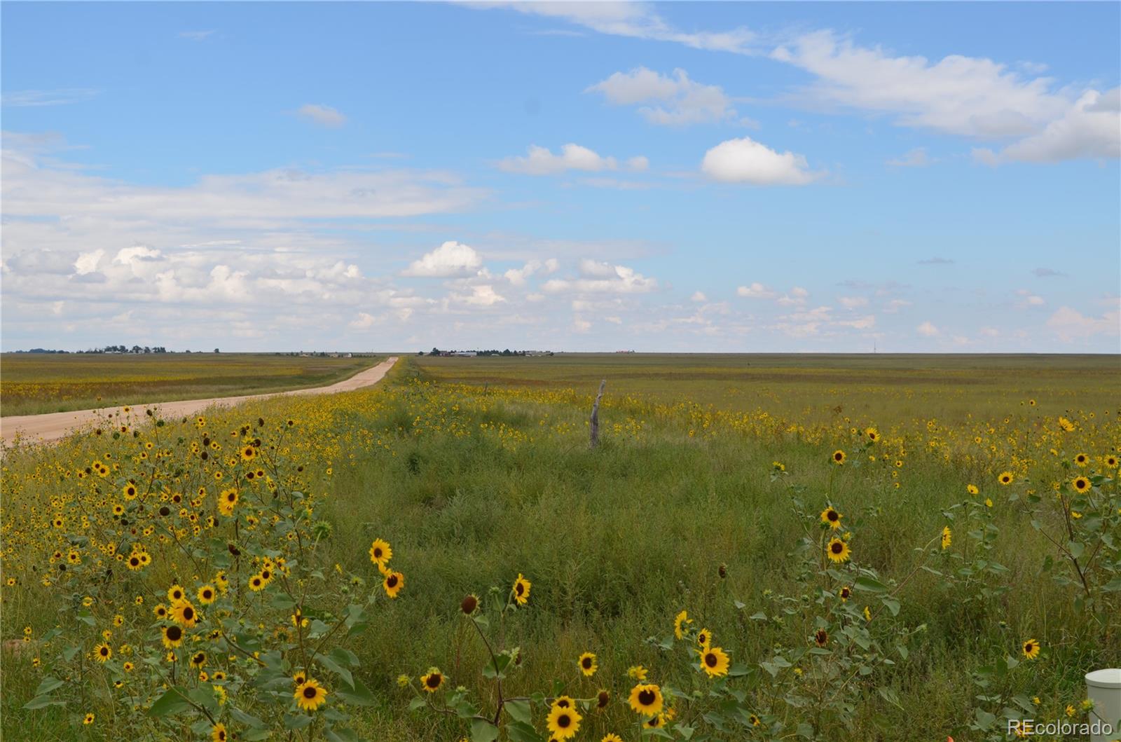 Parcel 7 County Rd V, Rush, CO 80833