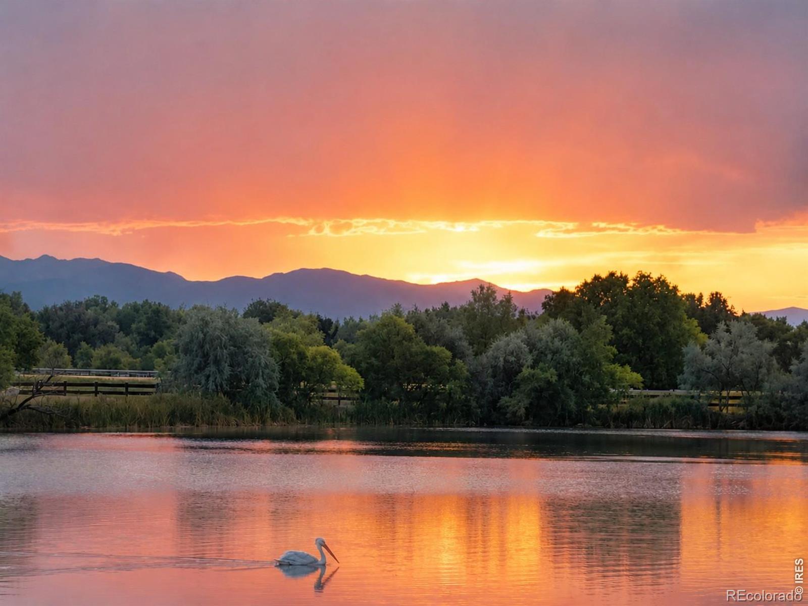 1530 Waterfront Dr, Windsor, CO 80550