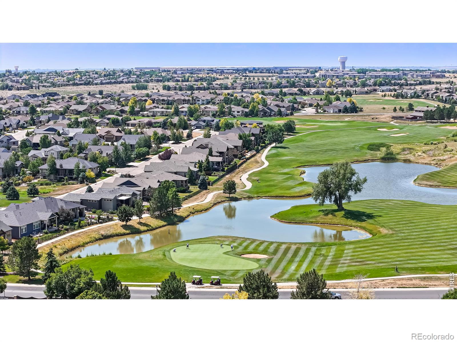 8294 Annapolis Dr, Windsor, CO 80528