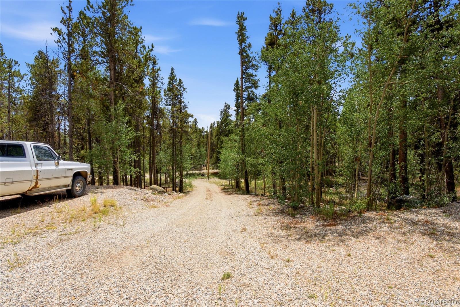 271 Willow Ln, Alma, CO 80420