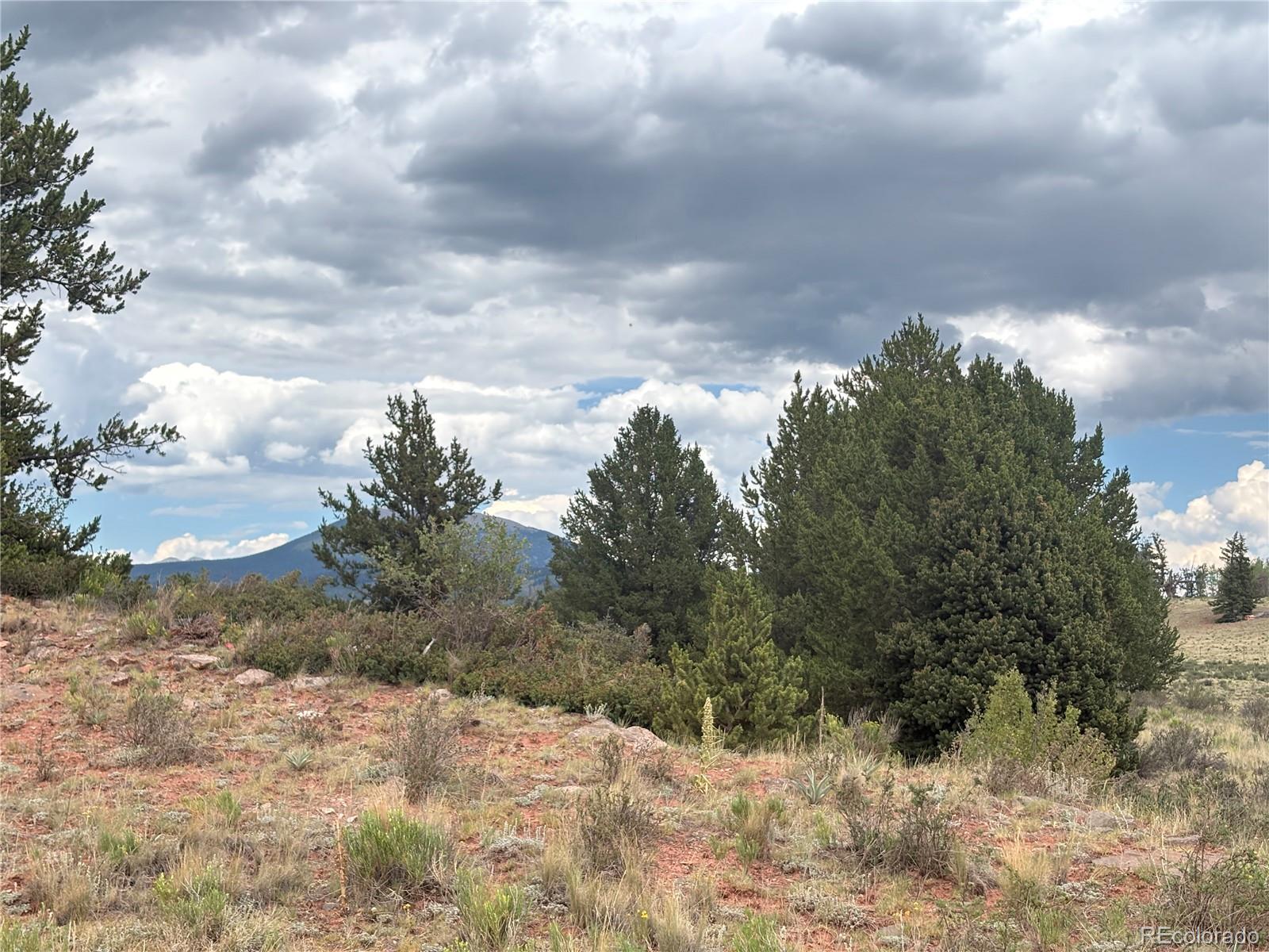 1344 Silverheels Rd, Fairplay, CO 80440