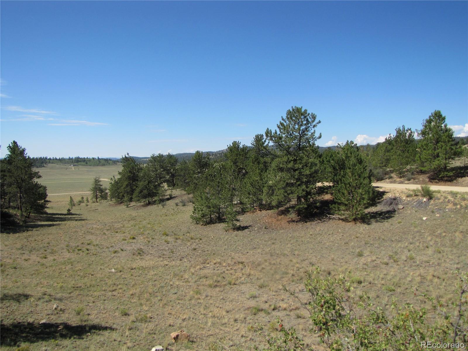 984 Arapahoe Trl, Hartsel, CO 80449