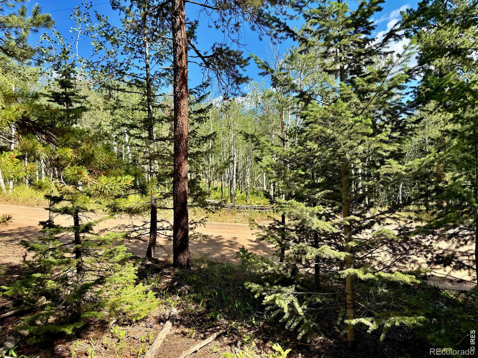 312 Ridge Rd, Ward, CO 80481