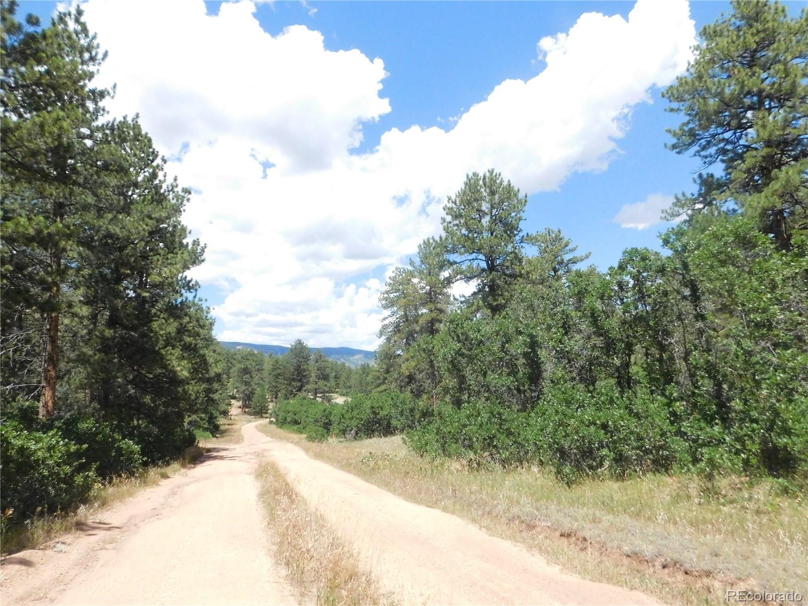 4977 Mohawk Dr, Larkspur, CO 80118
