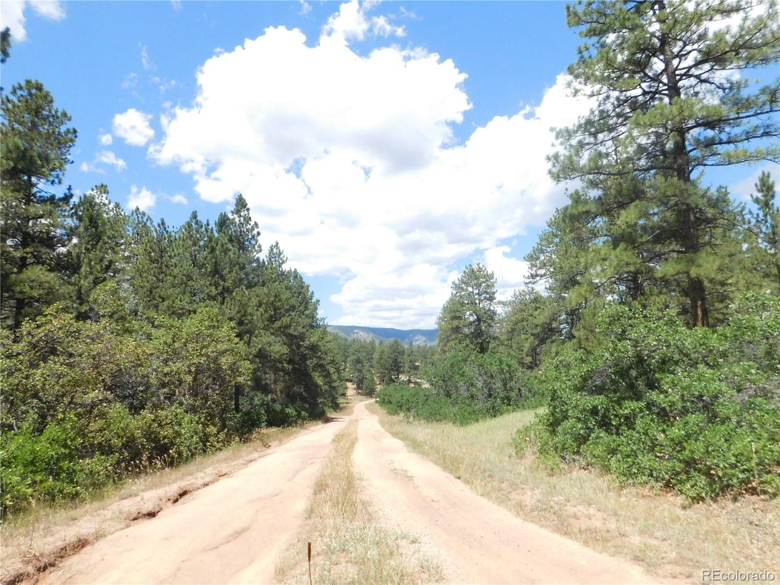 4977 Mohawk Dr, Larkspur, CO 80118