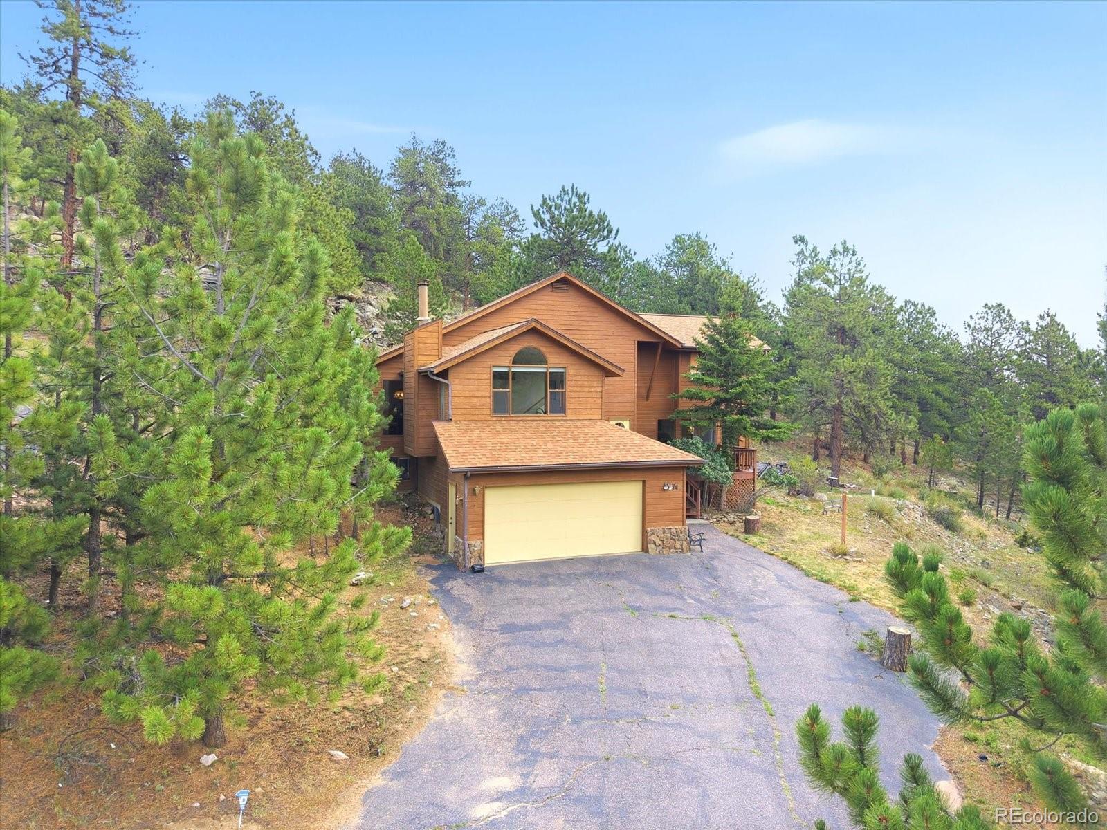 74 Badger Ln, Bailey, CO 80421