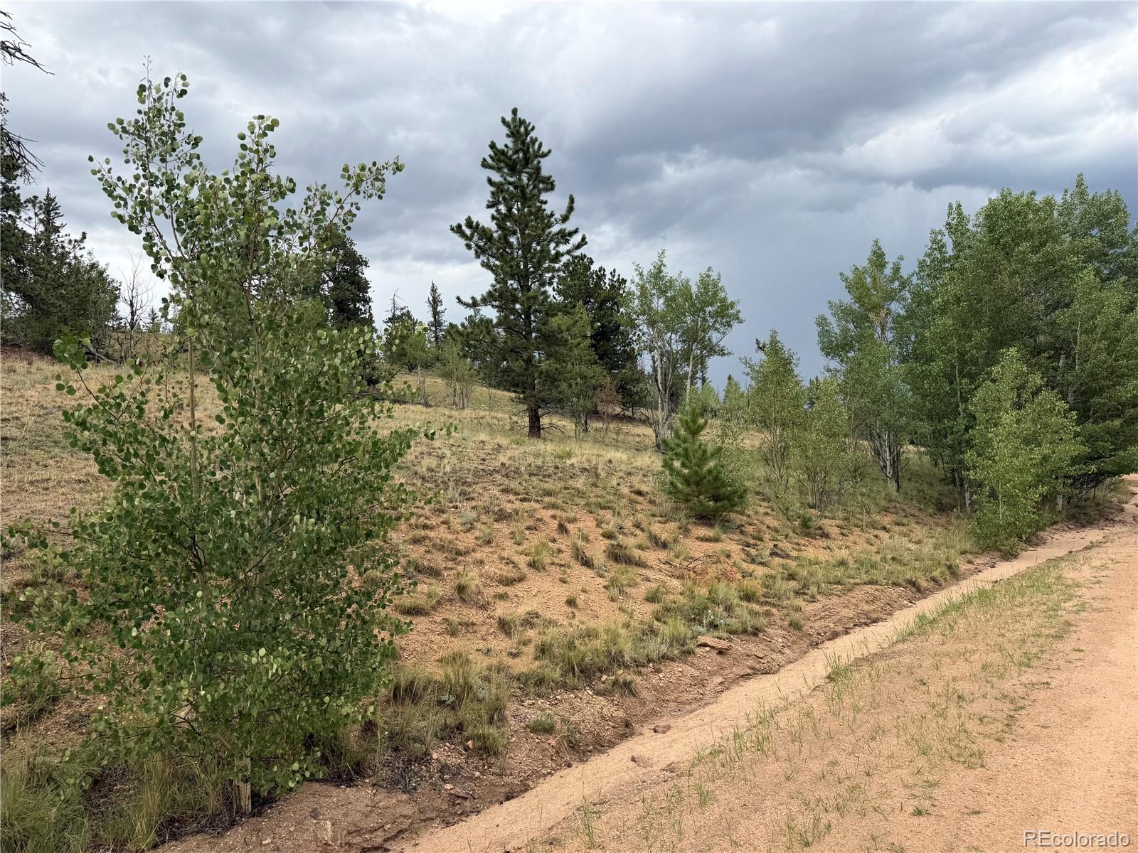 383 Spearpoint Rd, Como, CO 80456