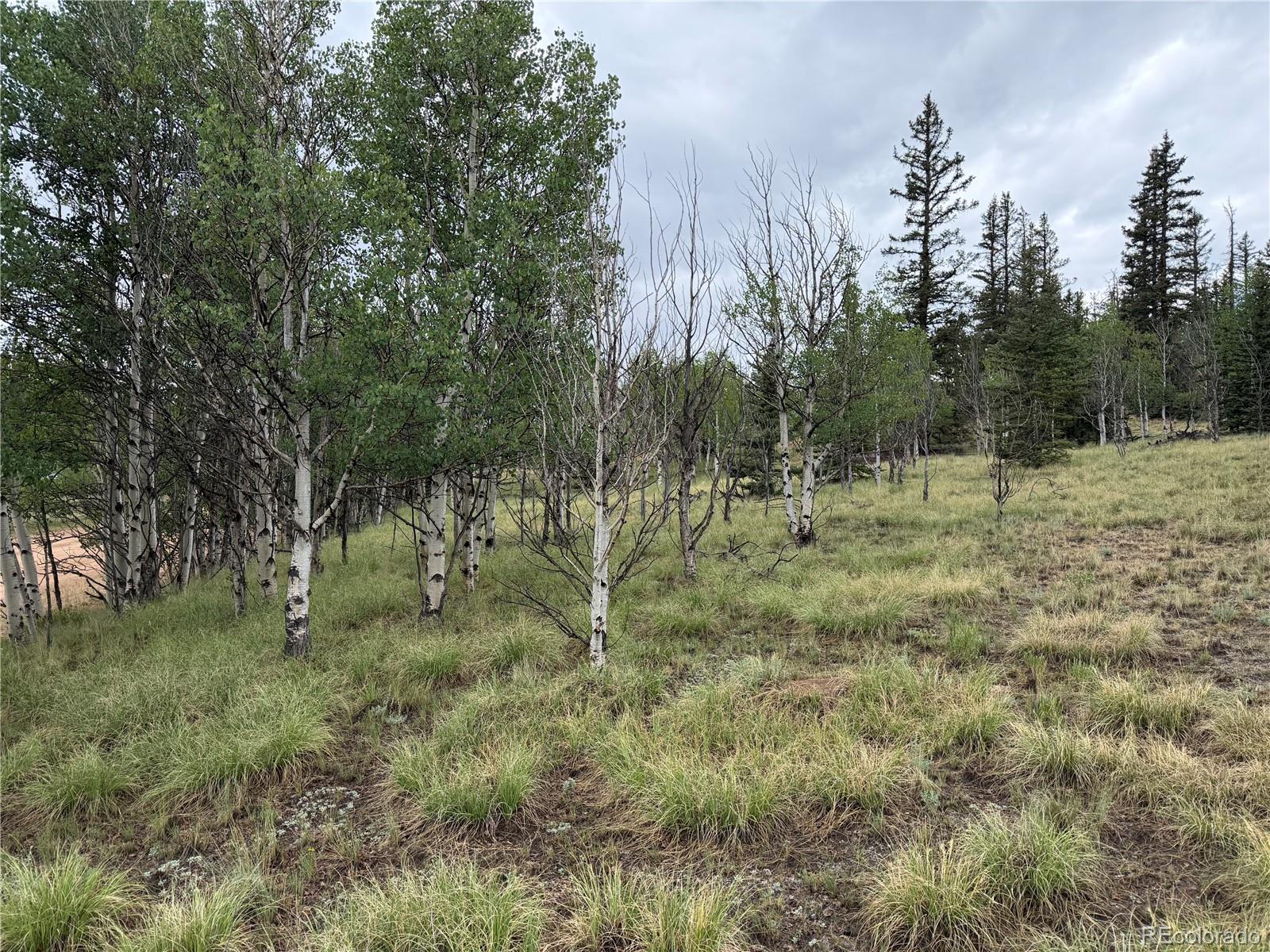 383 Spearpoint Rd, Como, CO 80456