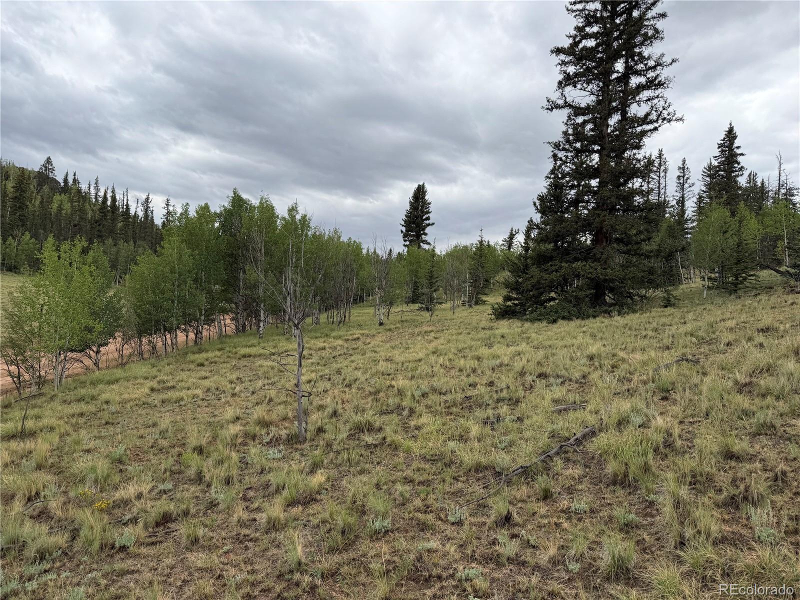 383 Spearpoint Rd, Como, CO 80456