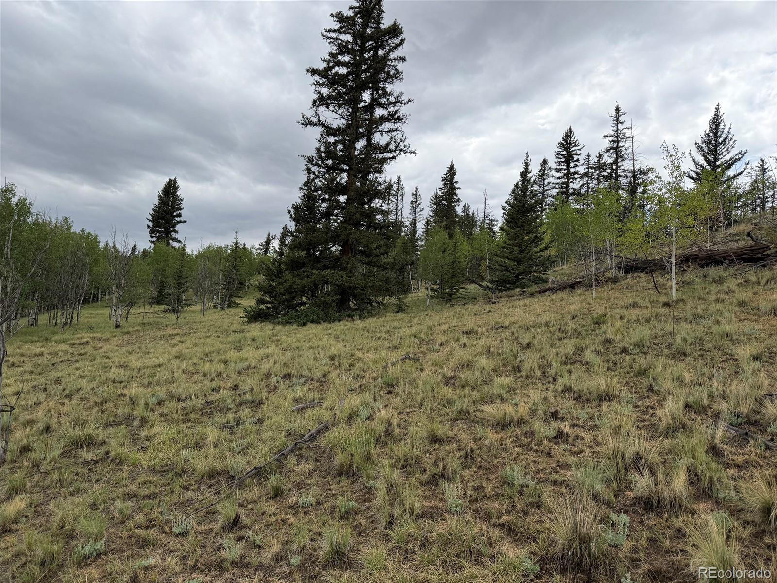 383 Spearpoint Rd, Como, CO 80456