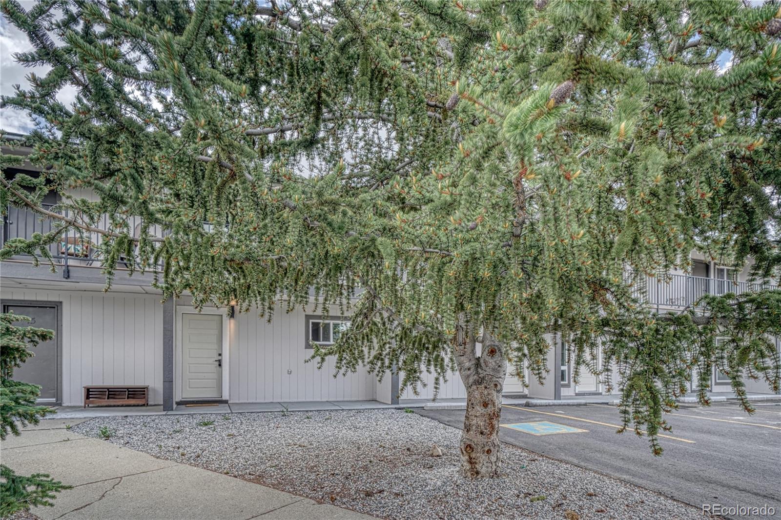 921 Mt Massive Dr #16, Leadville, CO 80461