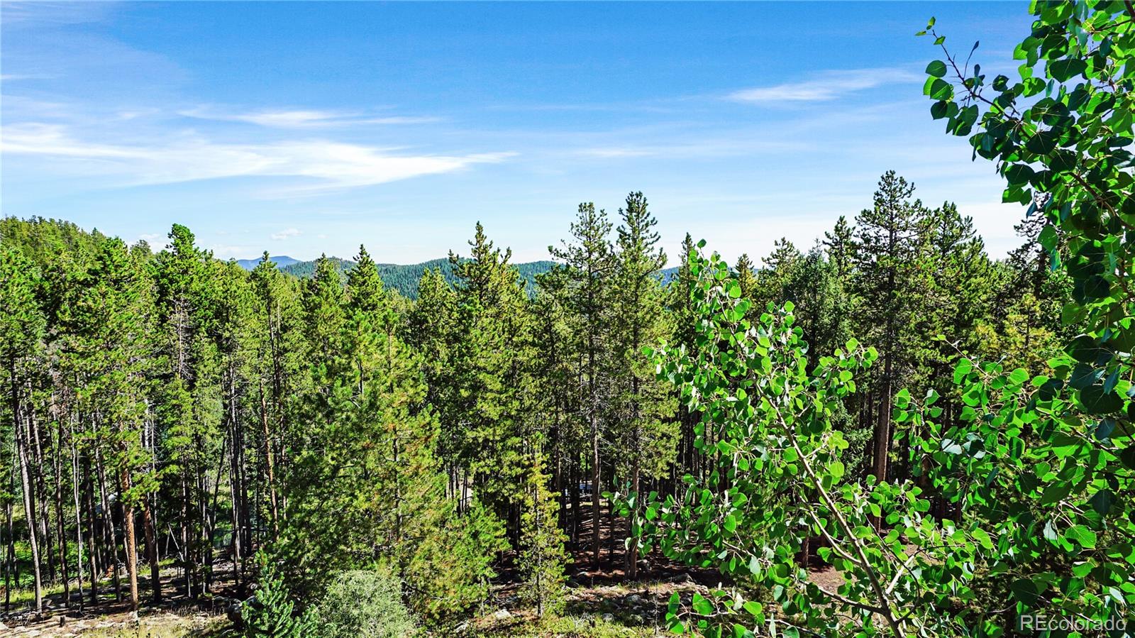 224 Brook Rd, Evergreen, CO 80439