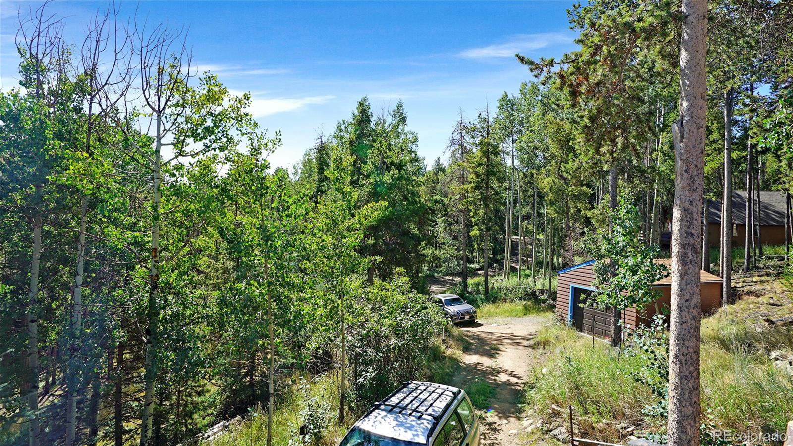 224 Brook Rd, Evergreen, CO 80439