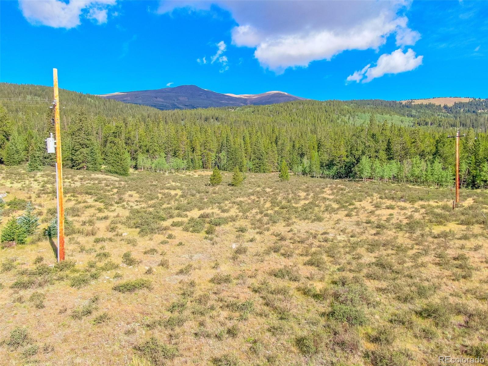 935 Co Rd 6, Alma, CO 80420