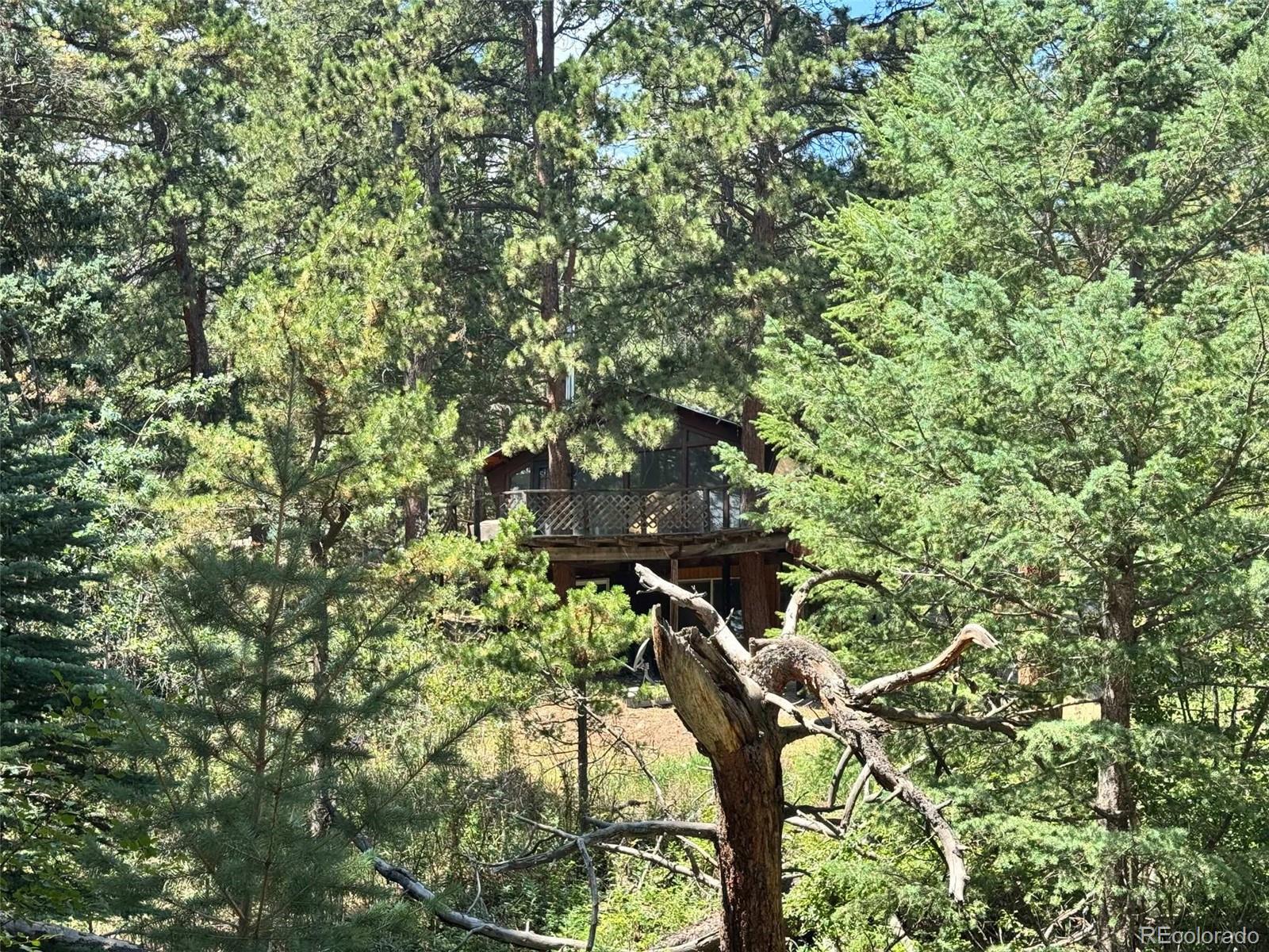 1324 Pine Glade Rd, Nederland, CO 80466