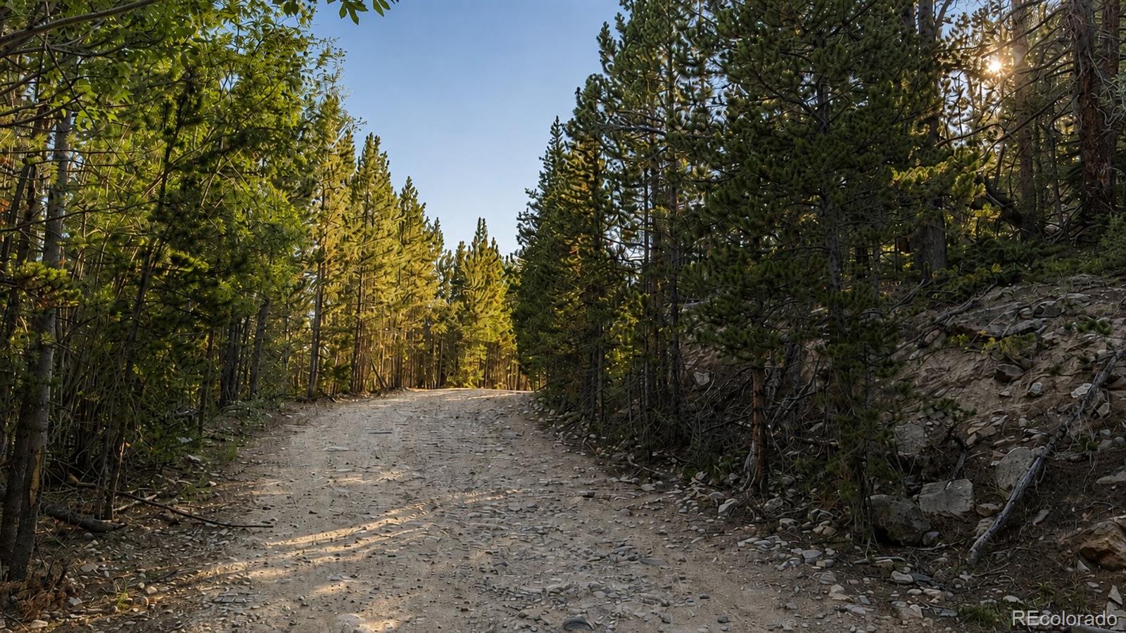 000 Steuart Rd Lot 375, Idaho Springs, CO 80452