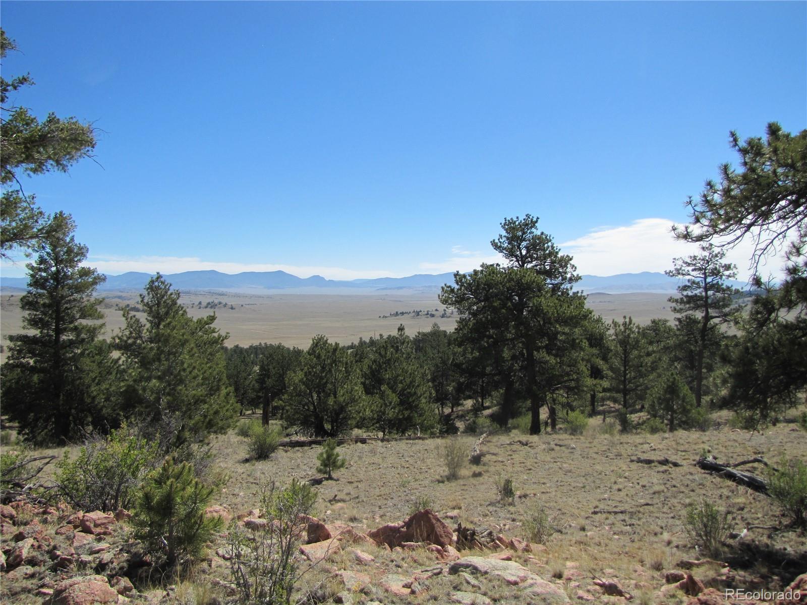 Lot 5085 Ouray Rd, Hartsel, CO 80449