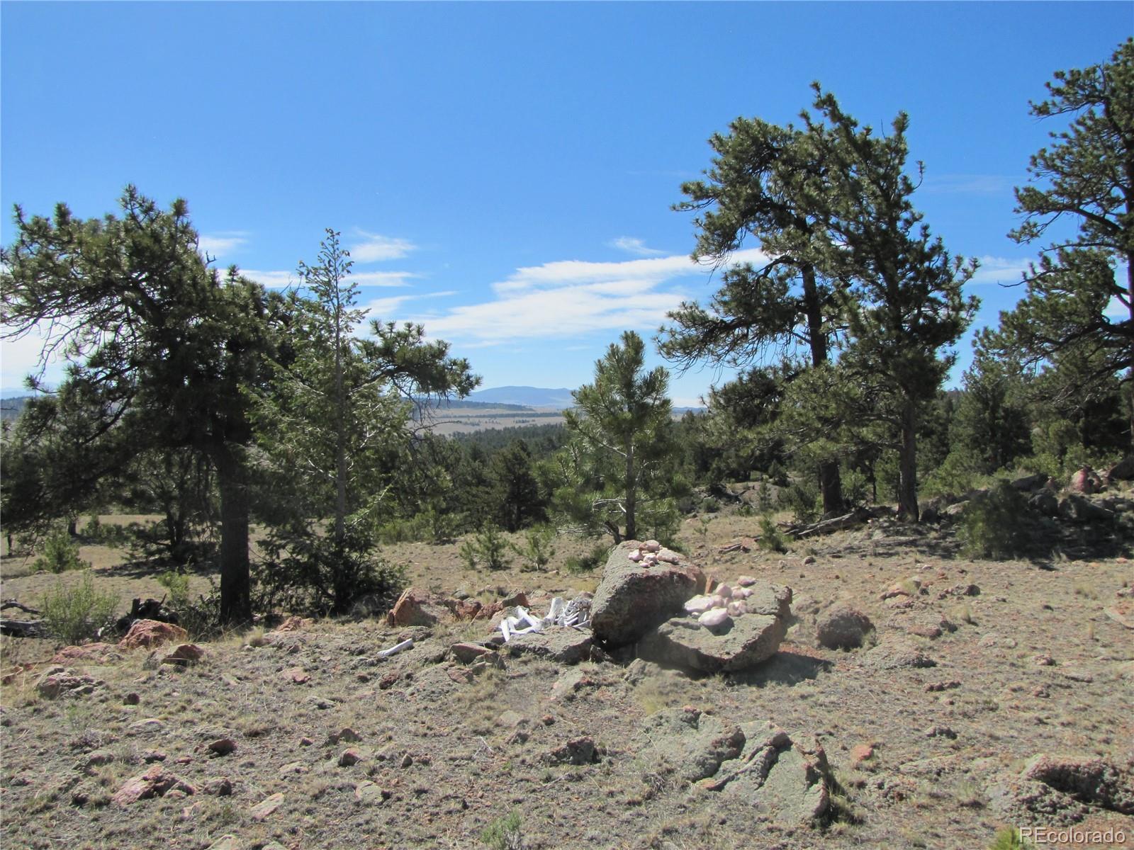 Lot 5085 Ouray Rd, Hartsel, CO 80449