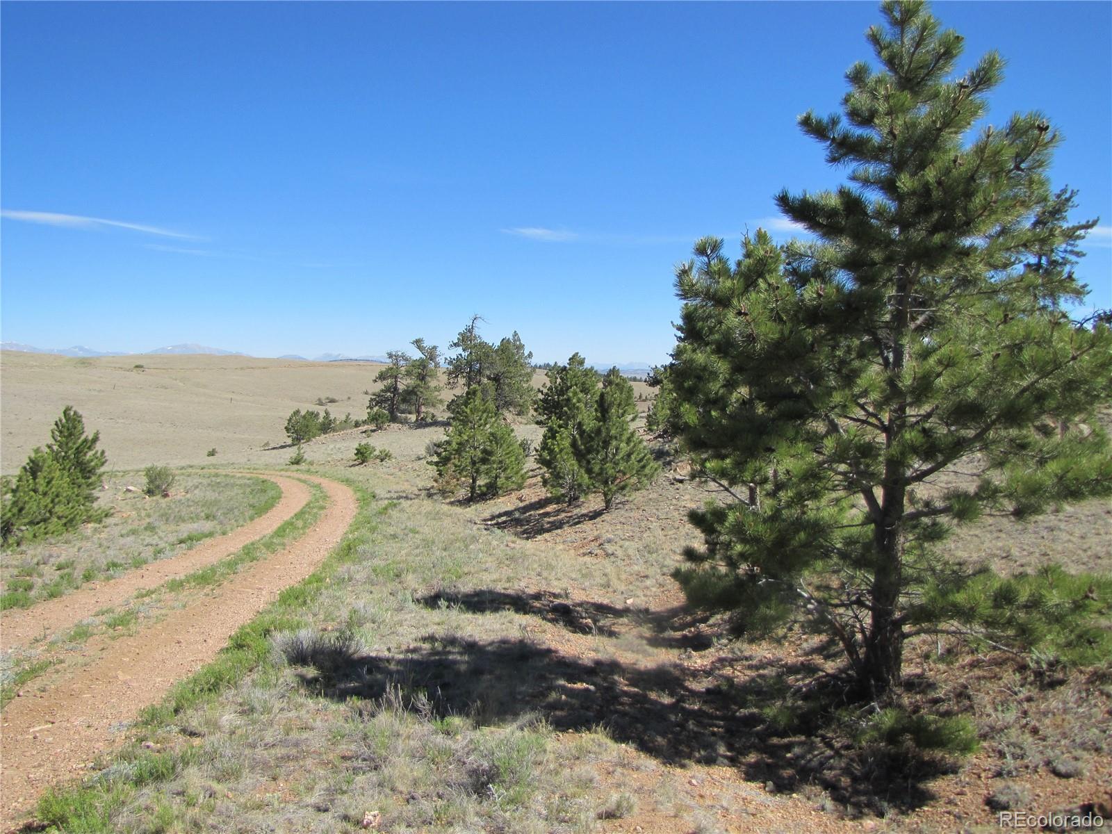 Lot 5085 Ouray Rd, Hartsel, CO 80449