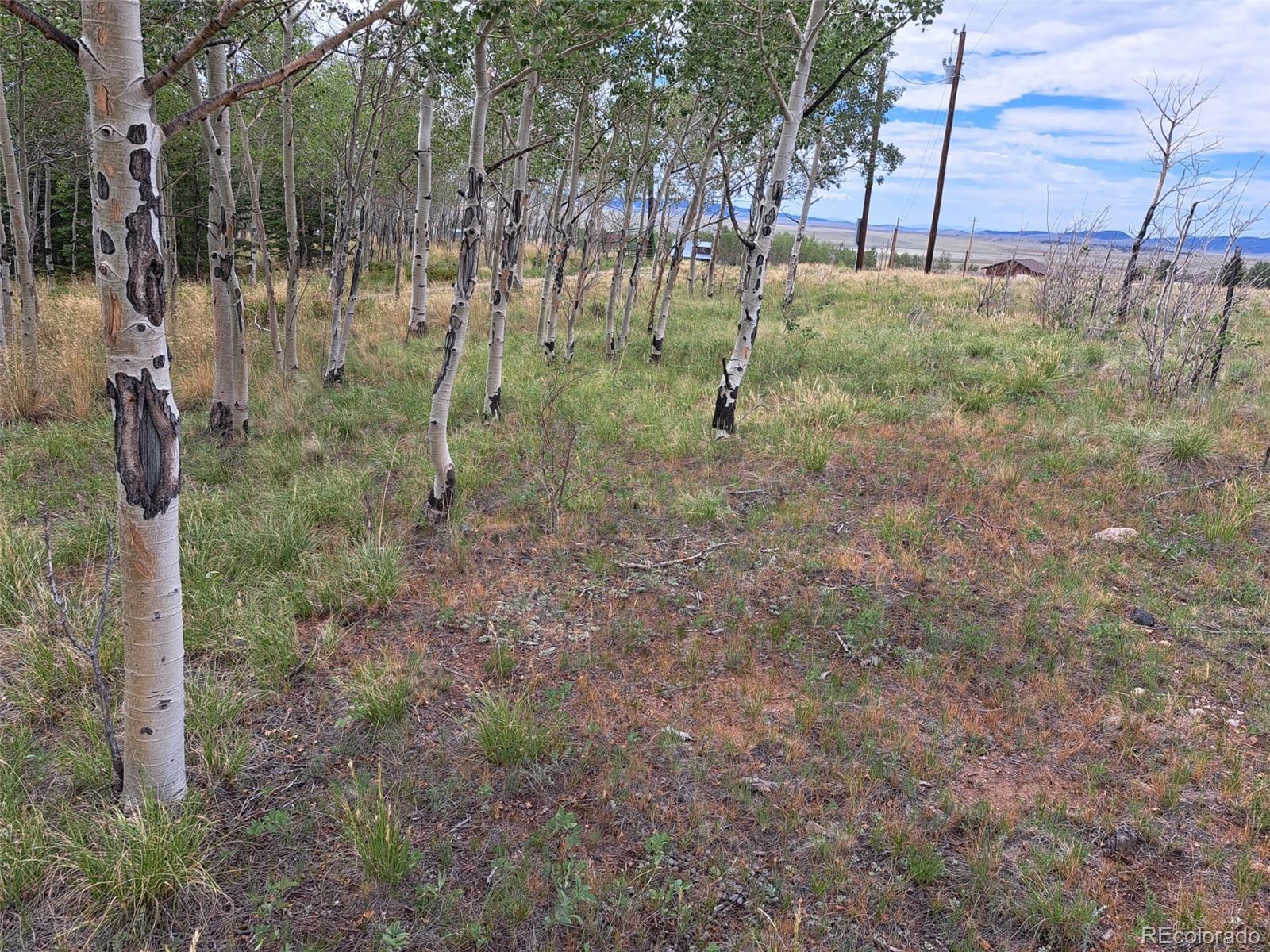 0 Georgia Cir, Jefferson, CO 80456