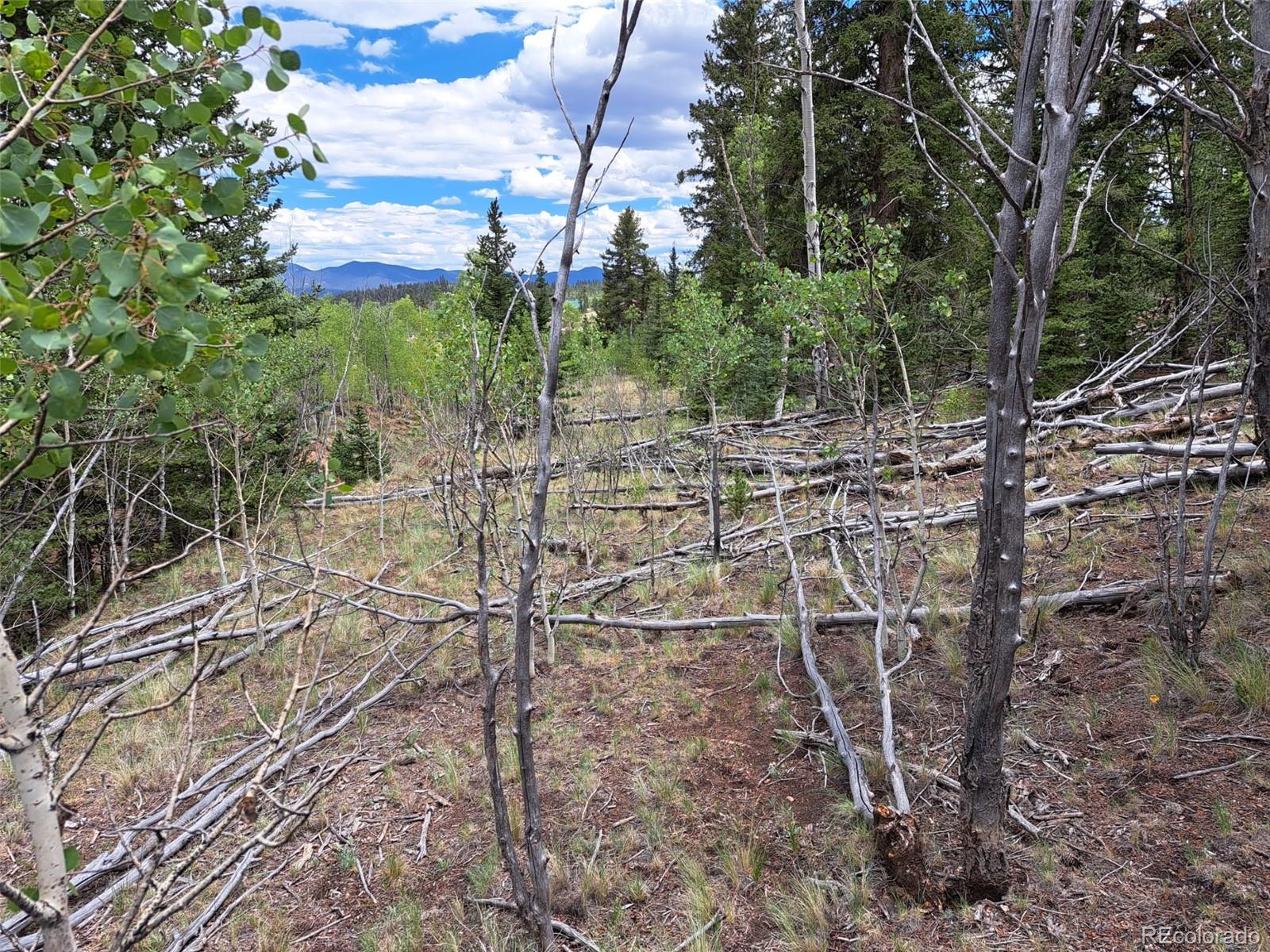 6242 Remington Rd, Como, CO 80432