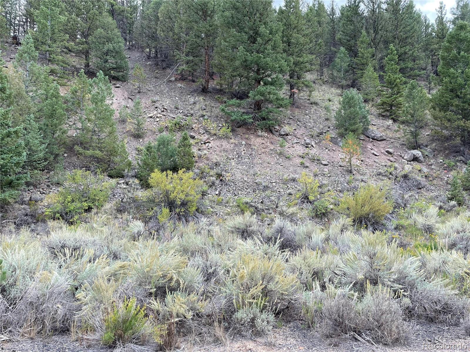1577 Mears Ln, Salida, CO 81201